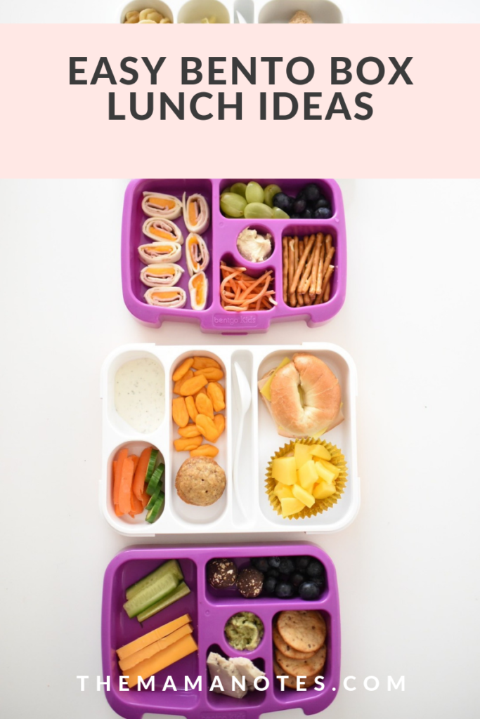 Bento Lunches 101 — Momma Society